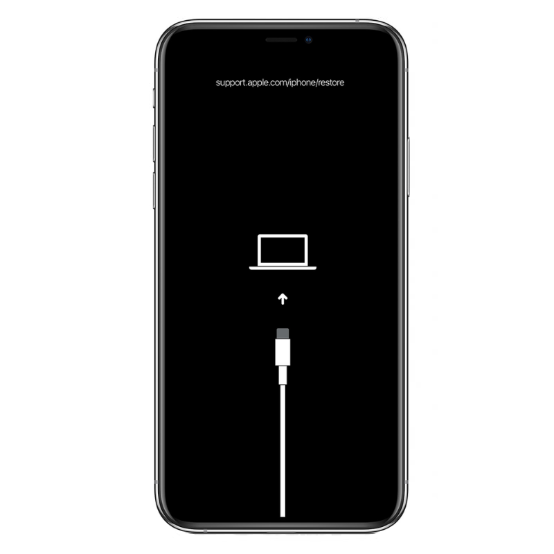 iPhone X Software Recovery Repair